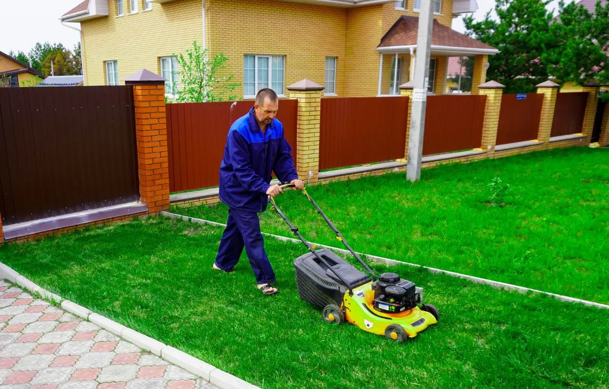 Professional landscape clean-up project