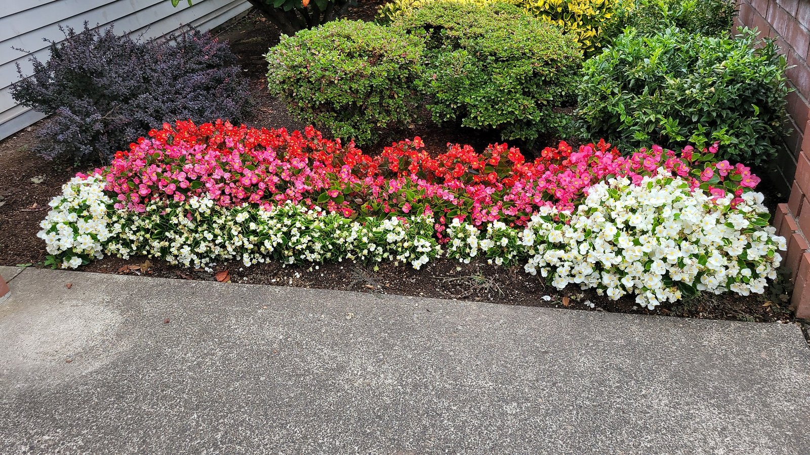 High-end Painting Services project in Wilsonville