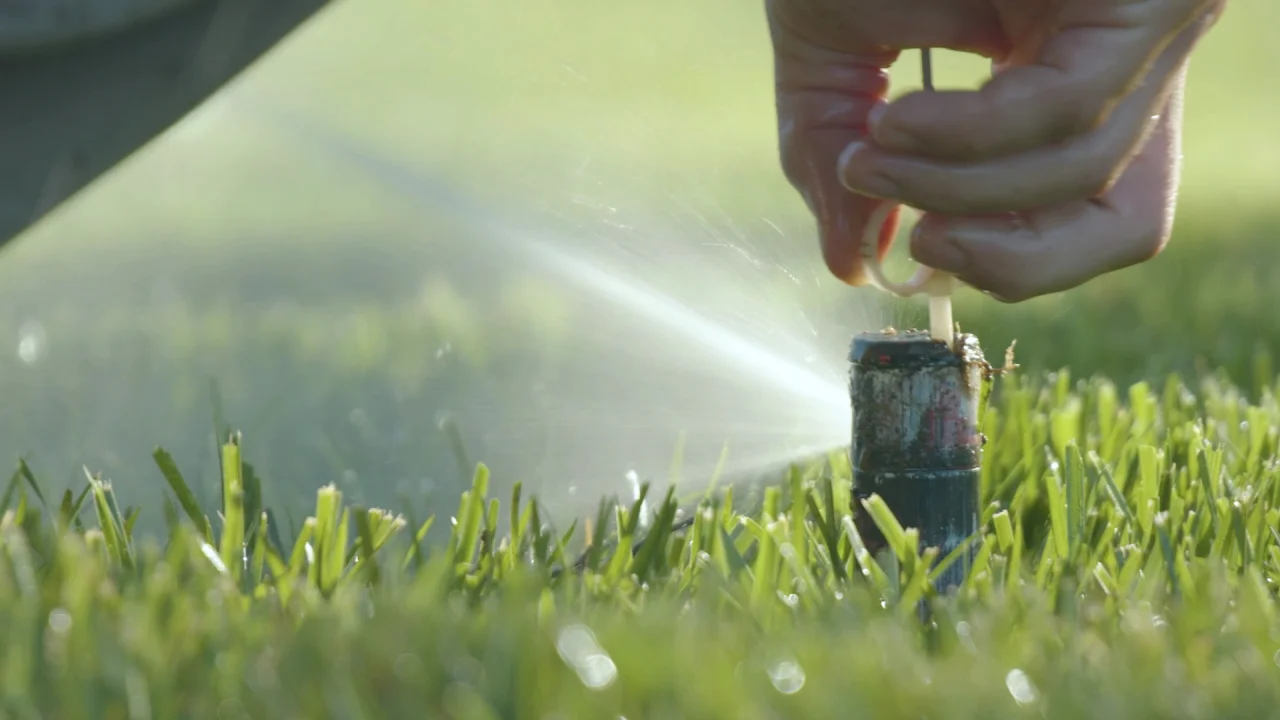 Professional irrigation services in Wilsonville Oregon - Sprinkler system installation in Wilsonville yard
