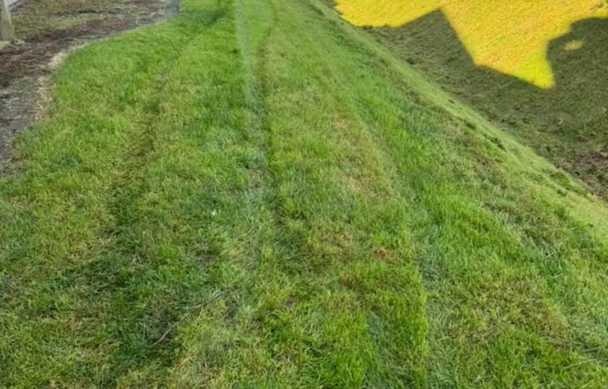 Professional Sod Installation and lawn transformation in Wilsonville OR